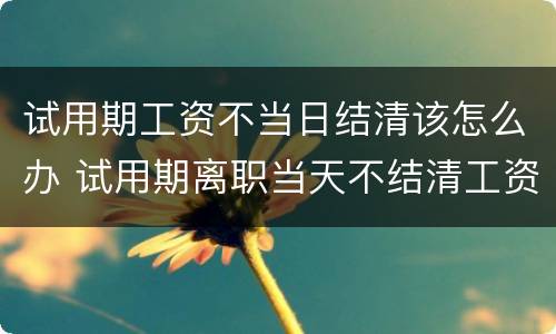 试用期工资不当日结清该怎么办 试用期离职当天不结清工资怎么办