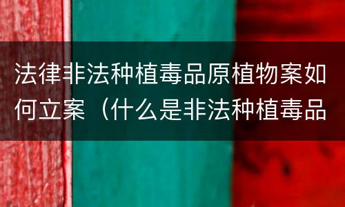 法律非法种植毒品原植物案如何立案（什么是非法种植毒品原植物罪）