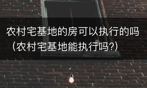 农村宅基地的房可以执行的吗（农村宅基地能执行吗?）