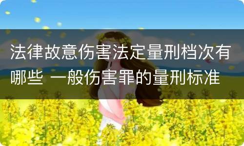 法律故意伤害法定量刑档次有哪些 一般伤害罪的量刑标准