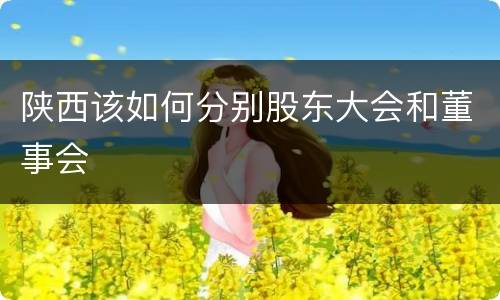 陕西该如何分别股东大会和董事会