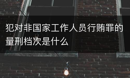 犯对非国家工作人员行贿罪的量刑档次是什么