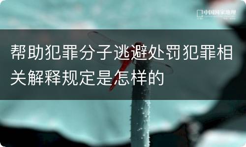 帮助犯罪分子逃避处罚犯罪相关解释规定是怎样的