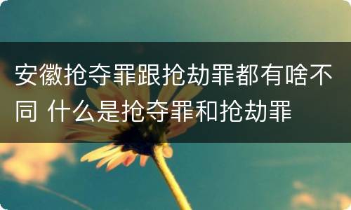 安徽抢夺罪跟抢劫罪都有啥不同 什么是抢夺罪和抢劫罪