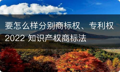 要怎么样分别商标权、专利权2022 知识产权商标法