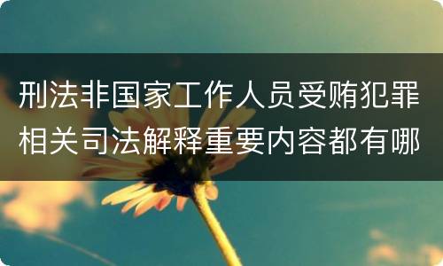 刑法非国家工作人员受贿犯罪相关司法解释重要内容都有哪些
