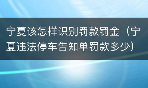 宁夏该怎样识别罚款罚金（宁夏违法停车告知单罚款多少）
