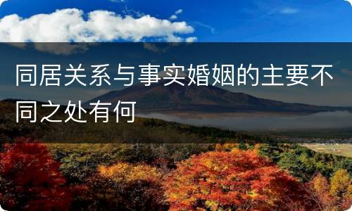 同居关系与事实婚姻的主要不同之处有何