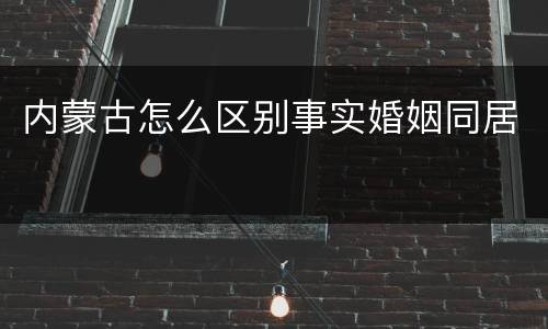 内蒙古怎么区别事实婚姻同居