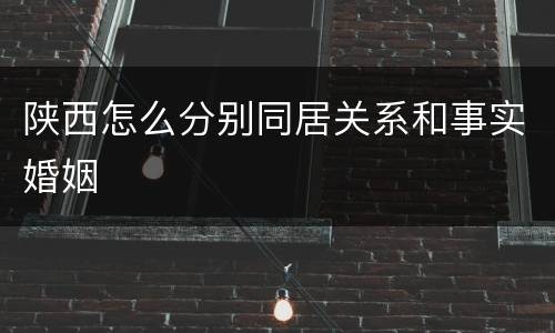 陕西怎么分别同居关系和事实婚姻