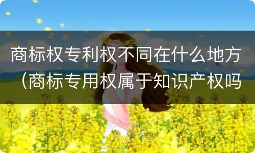 商标权专利权不同在什么地方（商标专用权属于知识产权吗?）