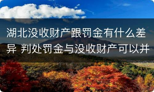 湖北没收财产跟罚金有什么差异 判处罚金与没收财产可以并罚吗