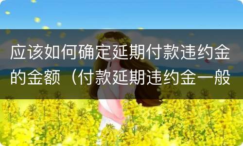 应该如何确定延期付款违约金的金额（付款延期违约金一般多少）