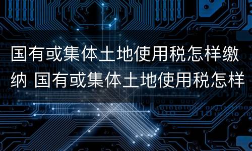国有或集体土地使用税怎样缴纳 国有或集体土地使用税怎样缴纳的