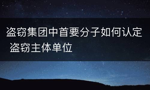 盗窃集团中首要分子如何认定 盗窃主体单位