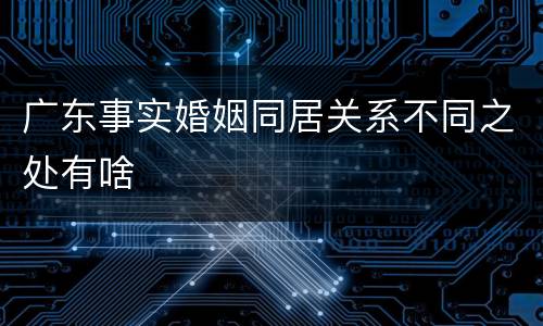 广东事实婚姻同居关系不同之处有啥
