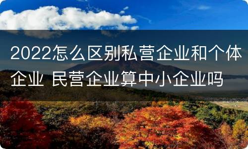 2022怎么区别私营企业和个体企业 民营企业算中小企业吗