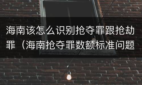 海南该怎么识别抢夺罪跟抢劫罪（海南抢夺罪数额标准问题的规定）