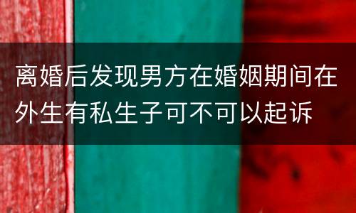 离婚后发现男方在婚姻期间在外生有私生子可不可以起诉
