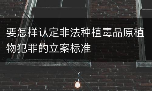 要怎样认定非法种植毒品原植物犯罪的立案标准