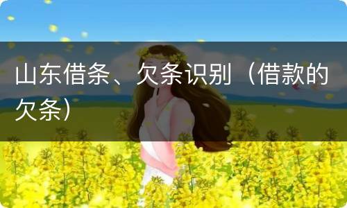 山东借条、欠条识别（借款的欠条）