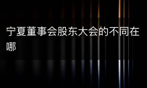 宁夏董事会股东大会的不同在哪