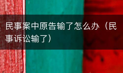 民事案中原告输了怎么办（民事诉讼输了）