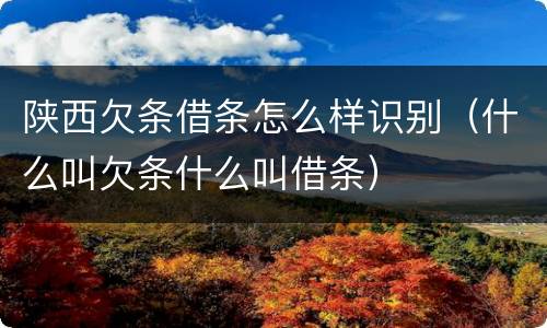 陕西欠条借条怎么样识别（什么叫欠条什么叫借条）