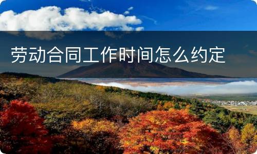 劳动合同工作时间怎么约定