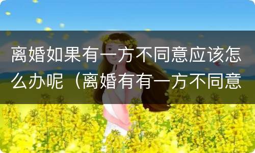 离婚如果有一方不同意应该怎么办呢（离婚有有一方不同意怎么办）