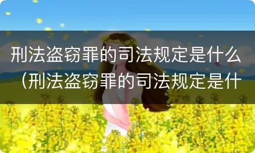 刑法盗窃罪的司法规定是什么（刑法盗窃罪的司法规定是什么意思）