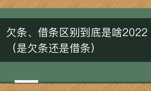 欠条、借条区别到底是啥2022（是欠条还是借条）