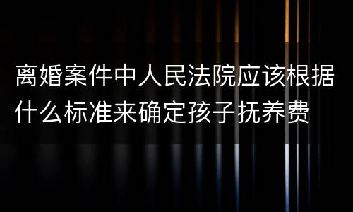 离婚案件中人民法院应该根据什么标准来确定孩子抚养费