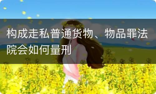 构成走私普通货物、物品罪法院会如何量刑