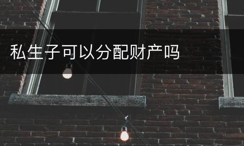 私生子可以分配财产吗