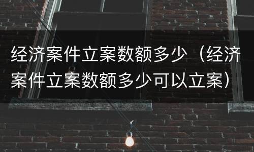经济案件立案数额多少（经济案件立案数额多少可以立案）