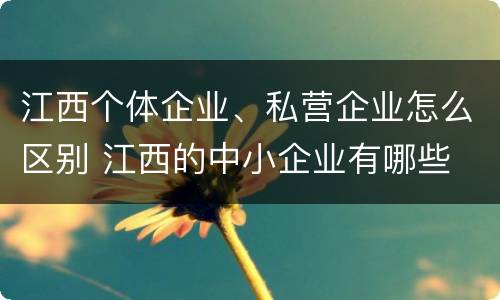 江西个体企业、私营企业怎么区别 江西的中小企业有哪些