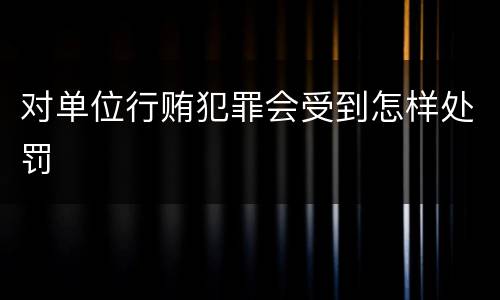 对单位行贿犯罪会受到怎样处罚