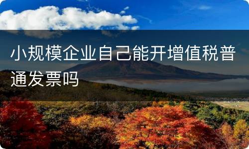 小规模企业自己能开增值税普通发票吗