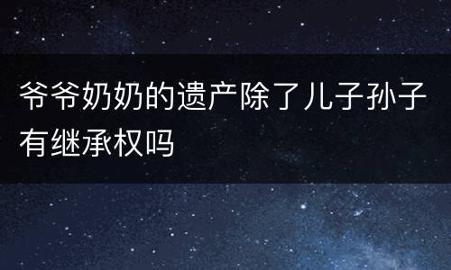 爷爷奶奶的遗产除了儿子孙子有继承权吗