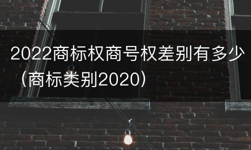 2022商标权商号权差别有多少（商标类别2020）