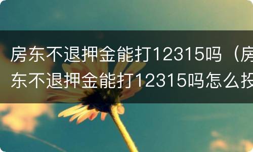 房东不退押金能打12315吗（房东不退押金能打12315吗怎么投诉）