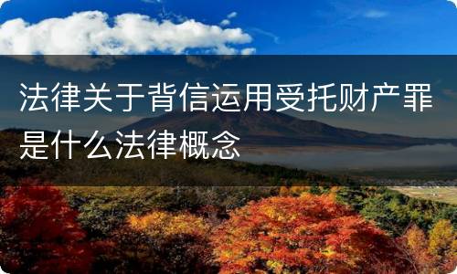 法律关于背信运用受托财产罪是什么法律概念