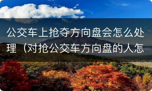 公交车上抢夺方向盘会怎么处理（对抢公交车方向盘的人怎么处理）