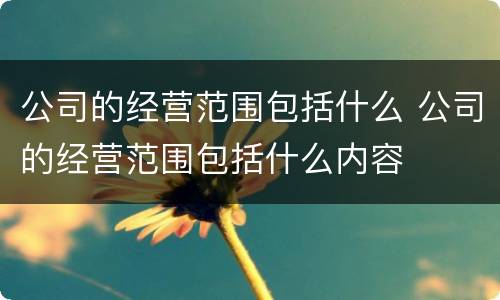公司的经营范围包括什么 公司的经营范围包括什么内容