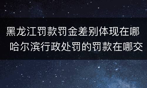 黑龙江罚款罚金差别体现在哪 哈尔滨行政处罚的罚款在哪交