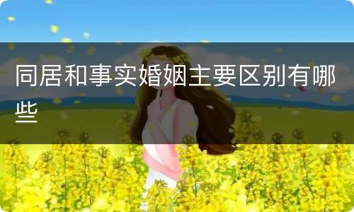 同居和事实婚姻主要区别有哪些
