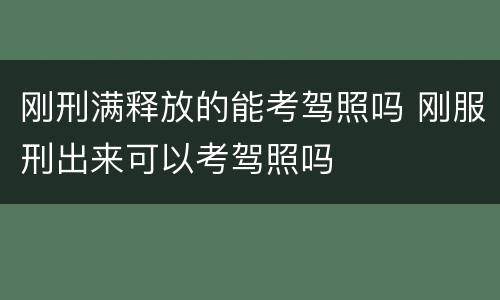刚刑满释放的能考驾照吗 刚服刑出来可以考驾照吗
