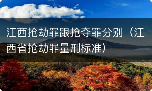 江西抢劫罪跟抢夺罪分别（江西省抢劫罪量刑标准）