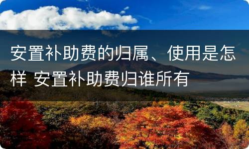 安置补助费的归属、使用是怎样 安置补助费归谁所有